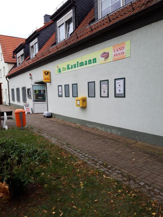 Apartament Wildholz Sachsen Weidenhain Zewnętrze zdjęcie